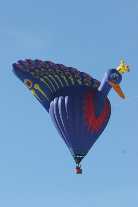Ballons_ChateaudOex_128